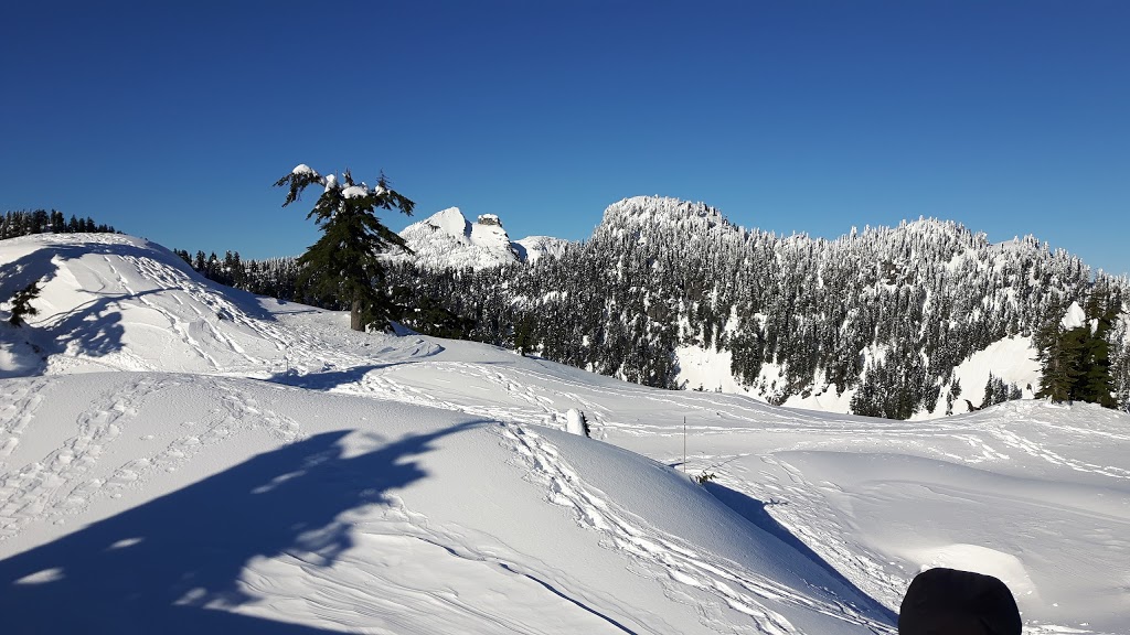 Thunderbird Ridge | North Vancouver, BC V7K 1X8, Canada