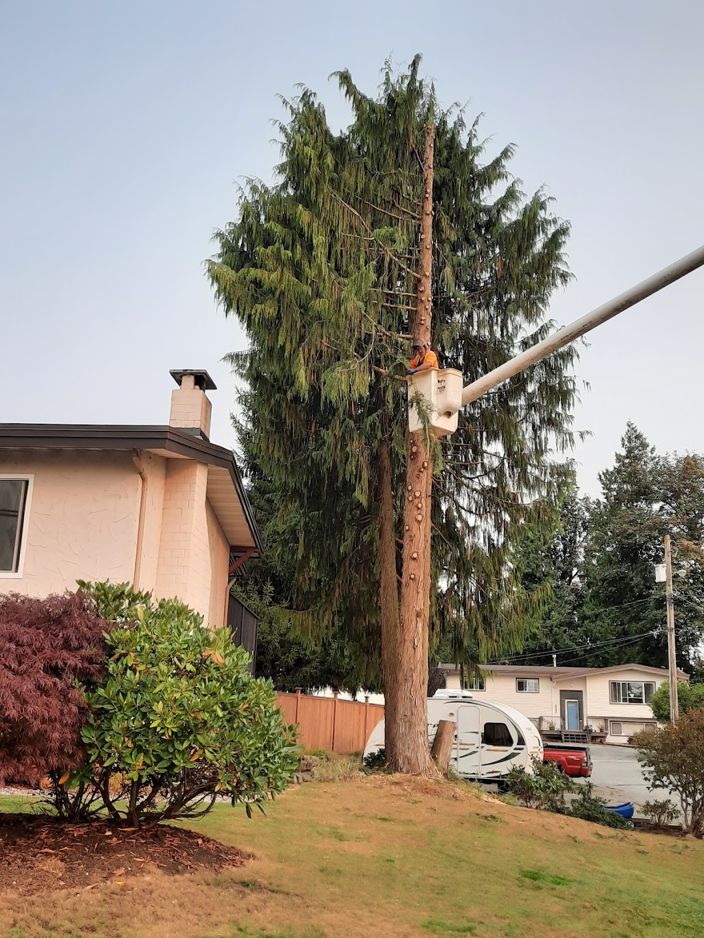 Arsenault Tree Service | 33746 Best Ave, Mission, BC V2V 6Z9, Canada | Phone: (604) 820-8842