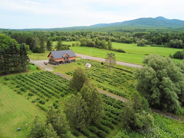 Bleuets du Massif Sutton | 989 route 139 sud, Sutton, QC J0E 2K0, Canada | Phone: (514) 293-0907