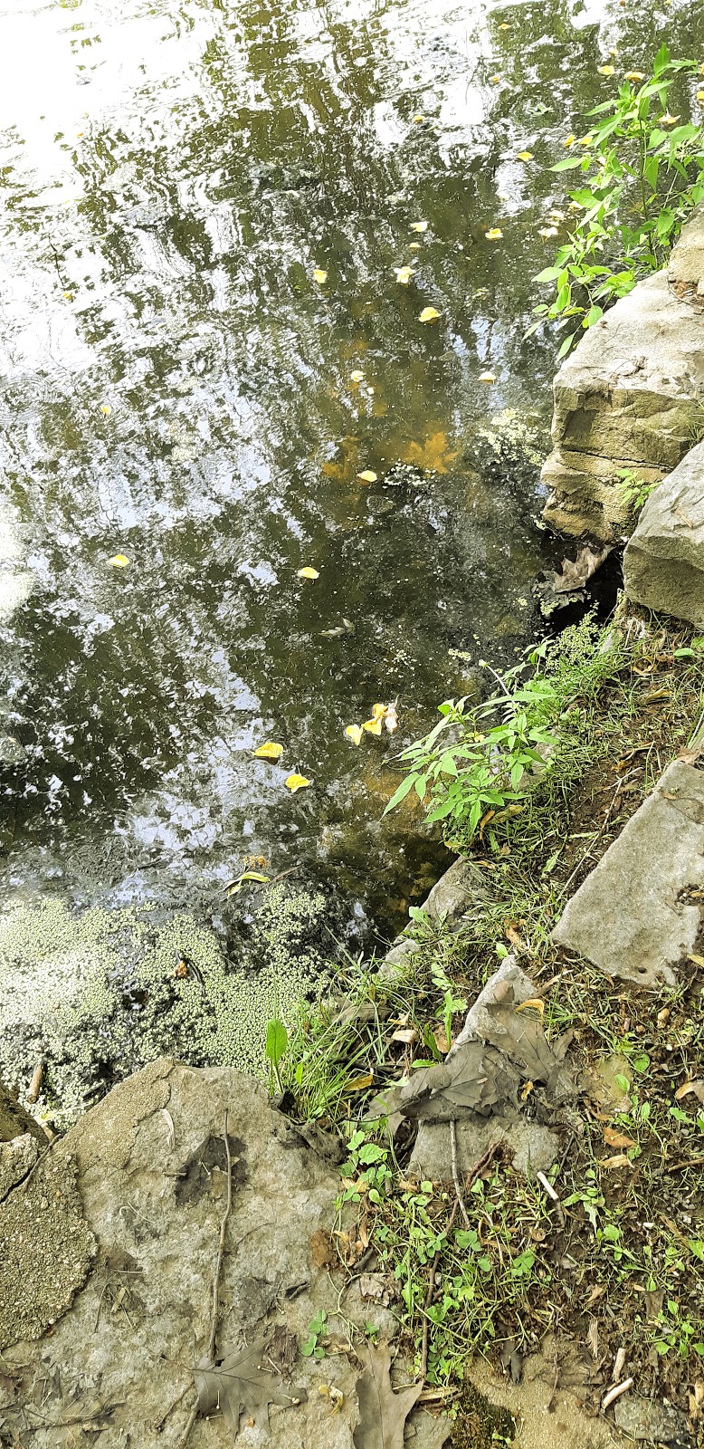 Parc du Moulin | Cap-de-la-Madeleine, Trois-Rivières, QC G8T 4Y4, Canada