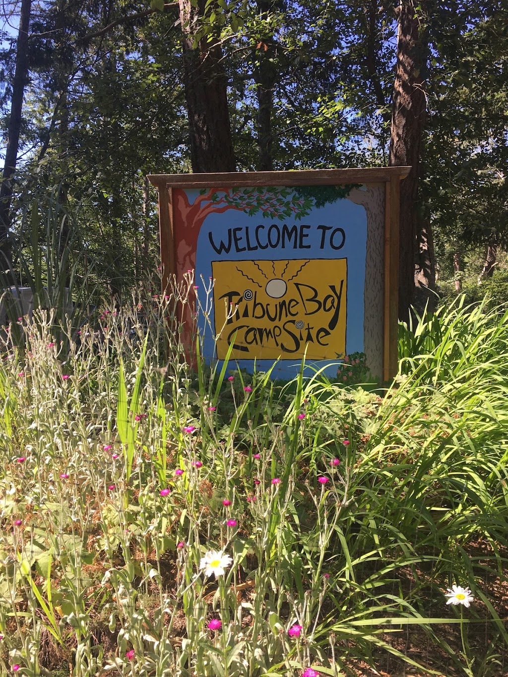 Tribune Bay Campsite | 5200 Shields Rd, Hornby Island, BC V0R 1Z0, Canada | Phone: (250) 335-2359