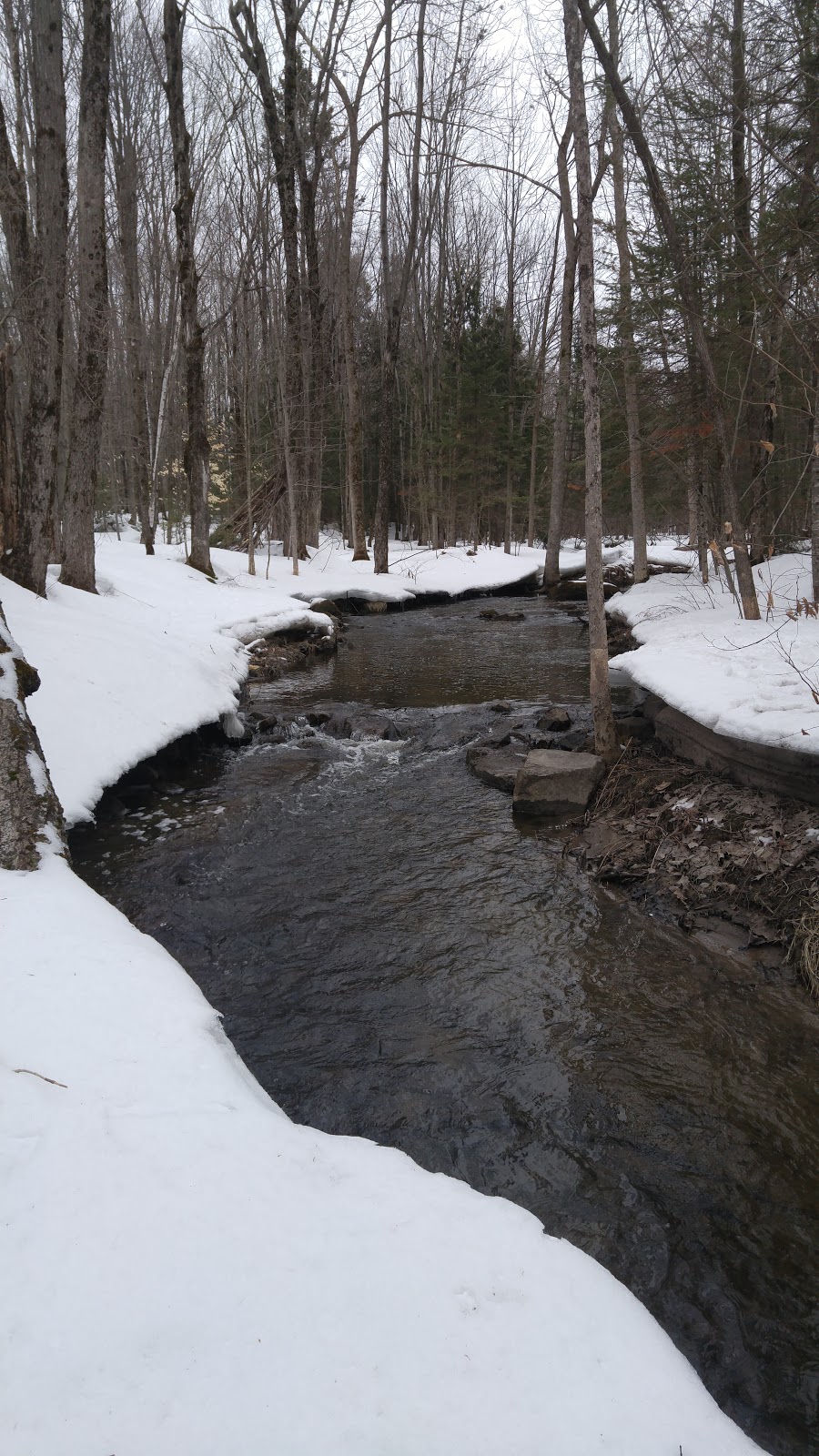 Sentier Nature du Lac Jérôme | Saint-Jérôme, QC J7Z 1S9, Canada