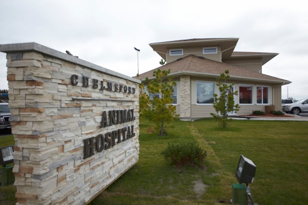Chelmsford Animal Hospital | 3147 Laura Dr, Chelmsford, ON P0M 1L0, Canada | Phone: (705) 855-8869