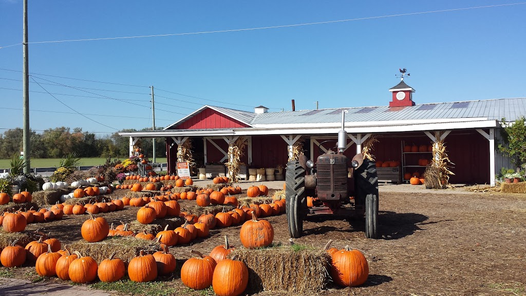 Reesors Farm Market | 10825 Ninth Line, Markham, ON L6B 1A8, Canada | Phone: (905) 640-4568