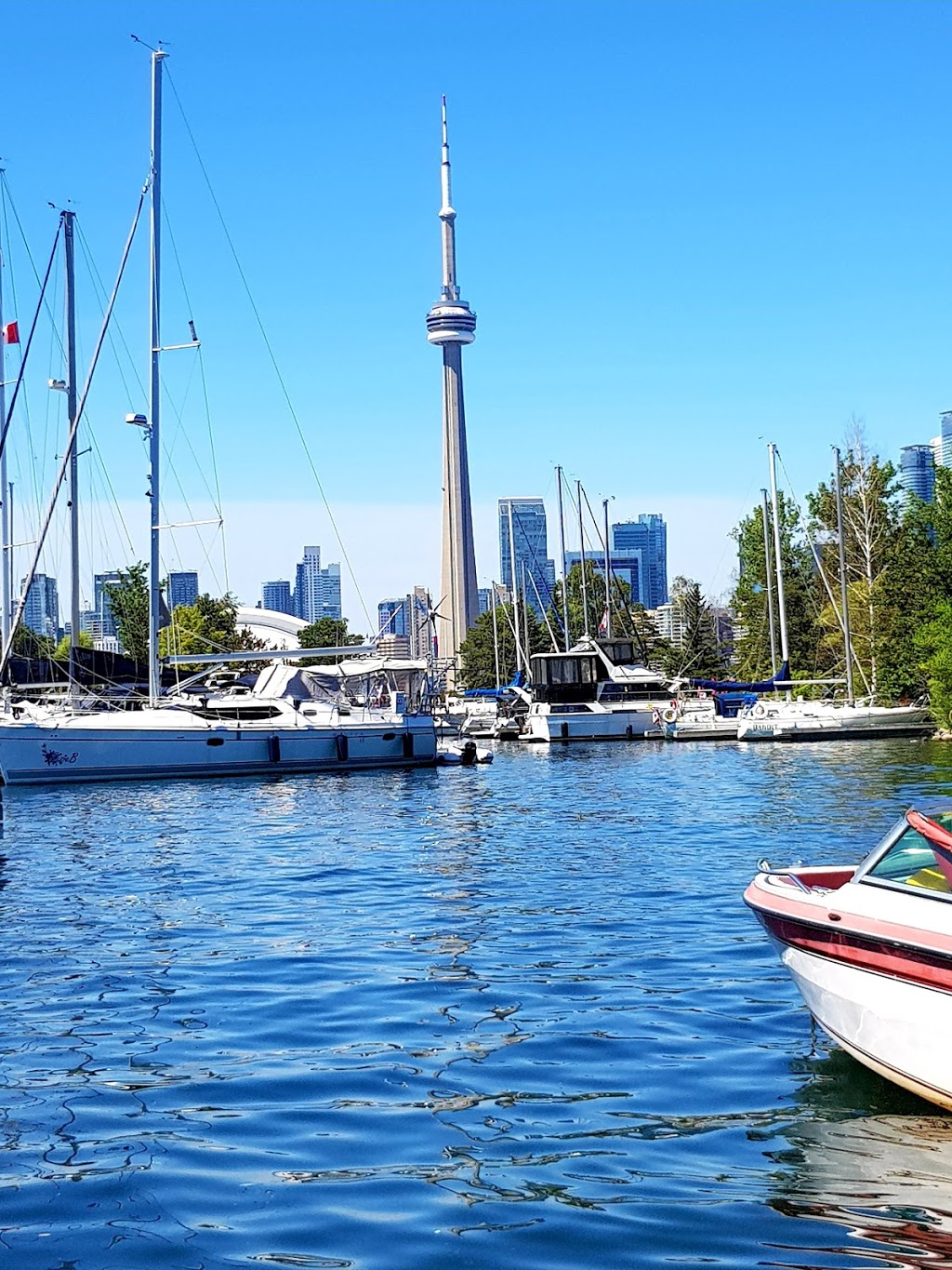 Toronto Island Marina | 1 Avenue of the Island, Toronto, ON M5J 2W2, Canada | Phone: (416) 203-1055