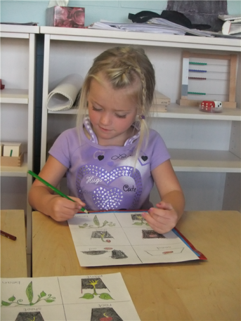 Stepping Stones Montessori - McVicar | 2 McVicar St, Red Deer, AB T4N 1M0, Canada | Phone: (403) 304-7800