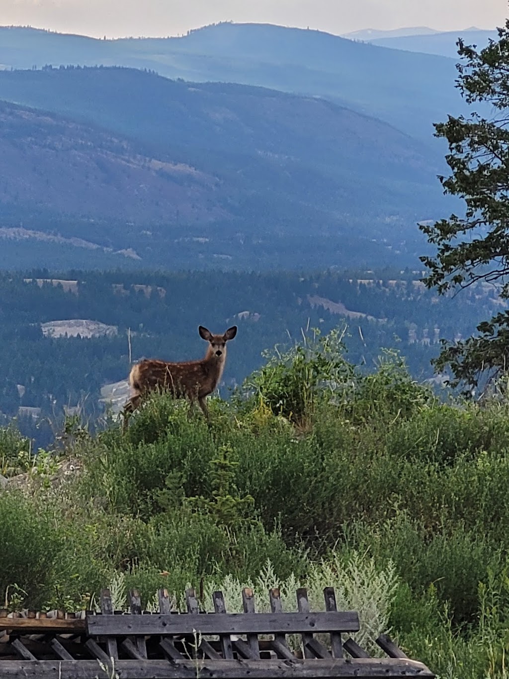 Marble Canyon | 5150 Fairway Dr, Fairmont Hot Springs, BC V0B 1L1, Canada | Phone: (877) 646-5890