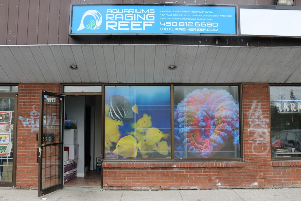 Aquarium Recifal Raging Reef - Rive-sud | 5579 Boulevard Maricourt, Saint-Hubert, QC J3Y 2E9, Canada | Phone: (450) 812-6680