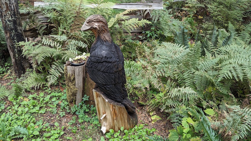 West Coast Chainsaw Artist | 4010 Forbidden Plateau Rd, Courtenay, BC B9J 1P9, Canada | Phone: (778) 992-1032