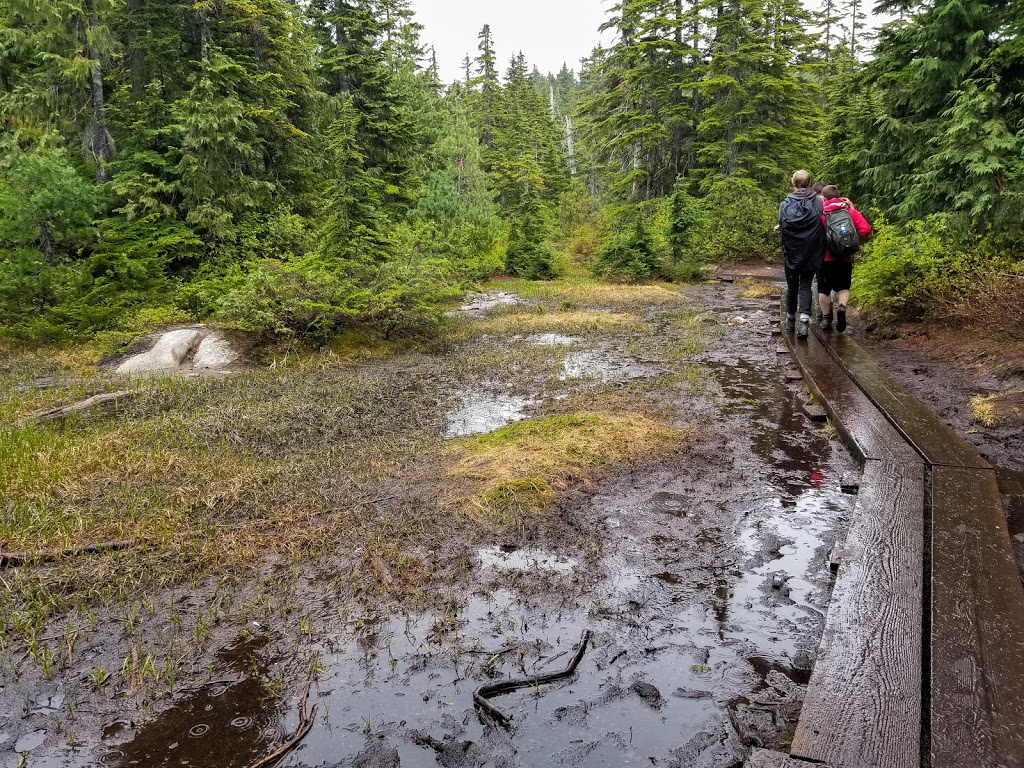 The North Shore - Eagle Bluffs | West Vancouver, BC V0N 1G0, Canada