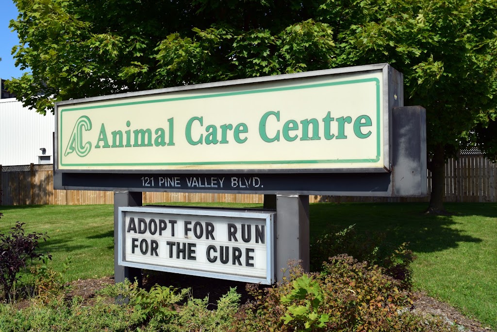 London Animal Care Centre | 121 Pine Valley Blvd, London, ON N6K 3T6, Canada | Phone: (519) 685-1330