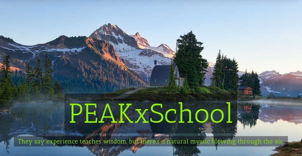 PEAK School and Iterate Education Consultants | 2564 Point Grey Rd, Vancouver, BC V6K 1A3, Canada | Phone: (604) 907-1846