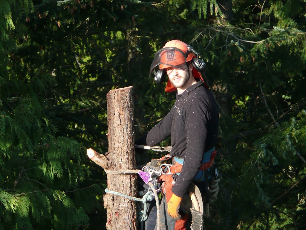 Harbourview Tree Experts | Box 234, Brentwood Bay, BC V8M 1R3, Canada | Phone: (250) 704-9143