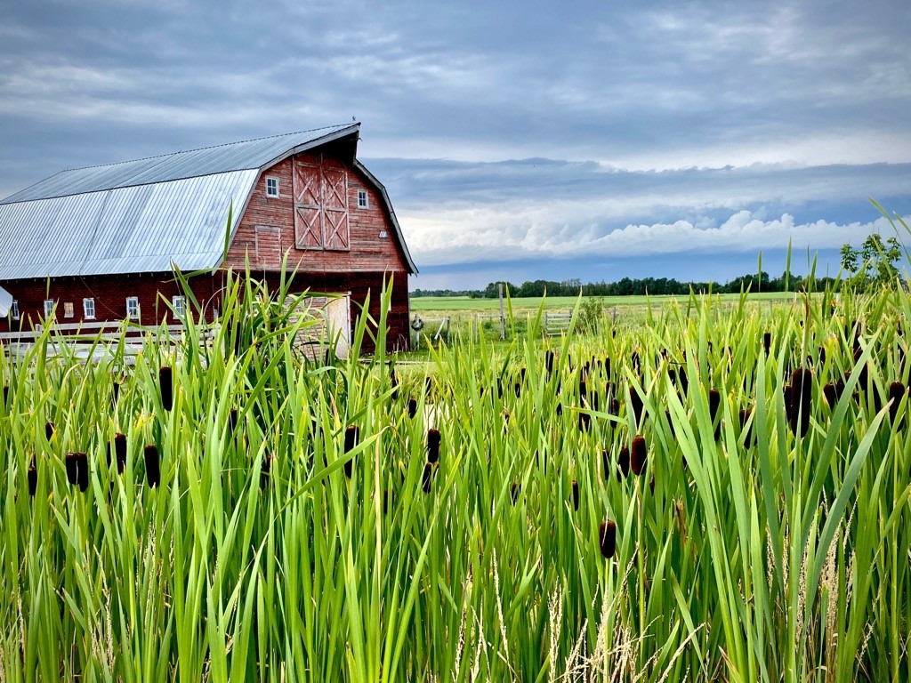 Prairie & Plough Farms | 58122, Range Rd 44, County of Barrhead No. 11, AB T7N 0K2, Canada | Phone: (780) 919-1856