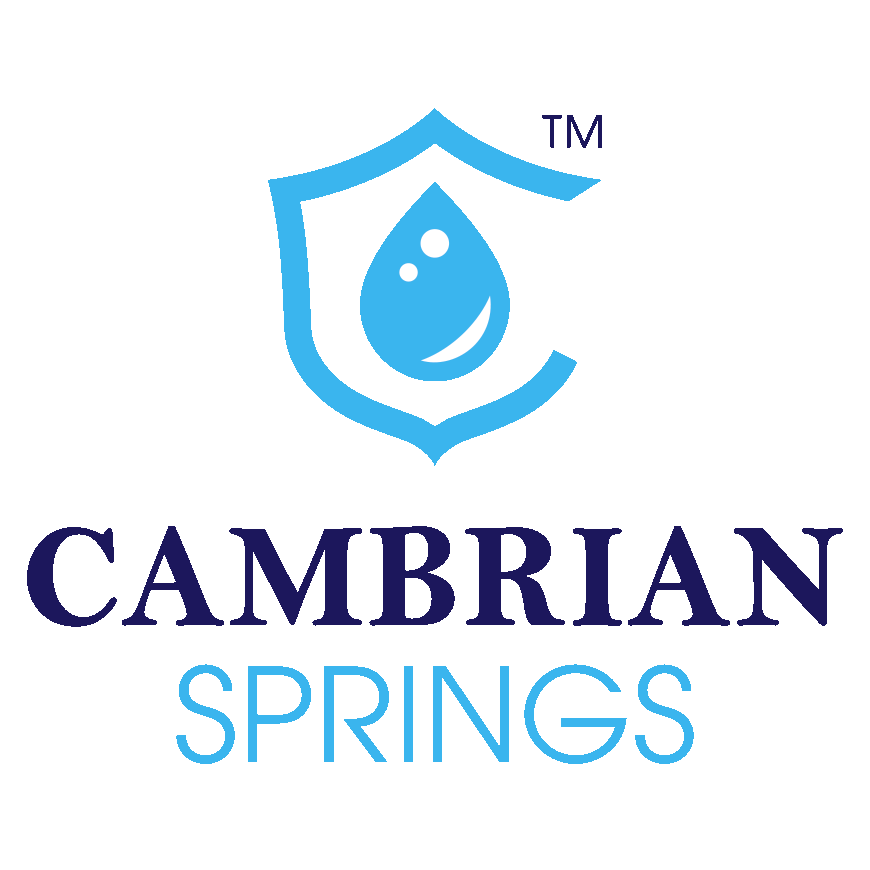 Cambrian Springs Inc | 212 Limestone Crescent, Toronto, ON M3J 2S4, Canada | Phone: (416) 855-3636