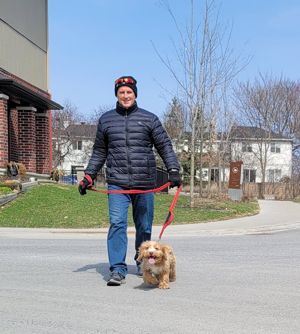 Dons Dog Walking | 27 Kane Terrace, Nepean, ON K2J 2A5, Canada | Phone: (613) 863-9262