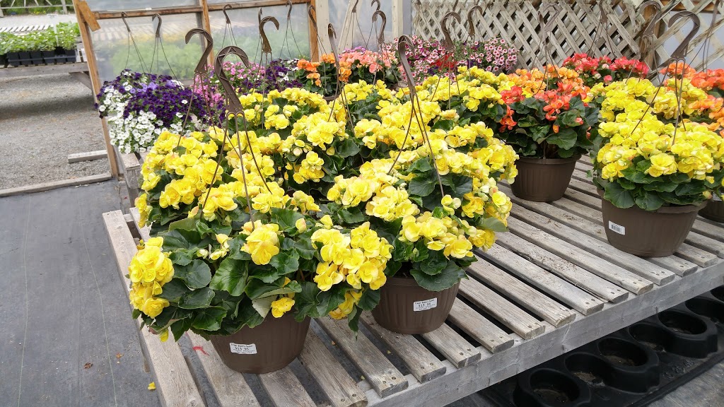 Niagara Nurseries | 1643 Niagara Regional Rd 81, St. Catharines, ON L2R 6P7, Canada | Phone: (905) 682-4783