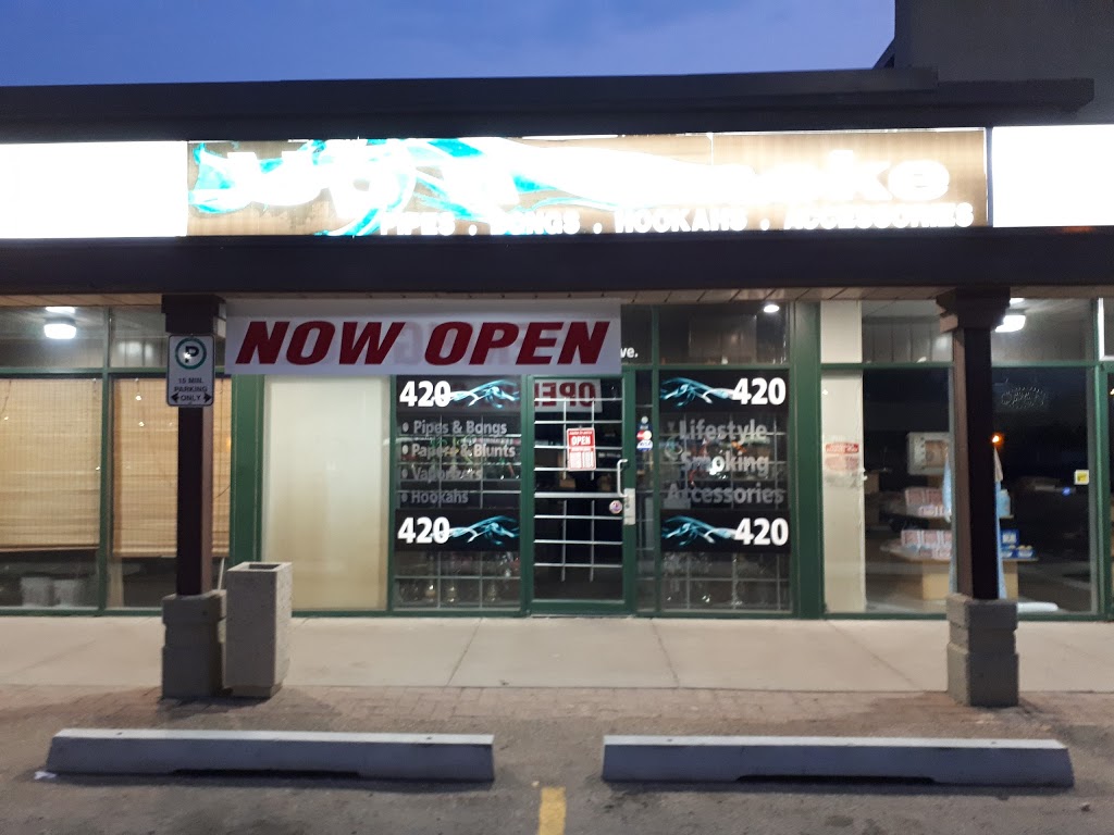 Up N Smoke | 12548 132 Ave NW, Edmonton, AB T5L 3P9, Canada | Phone: (780) 732-1190