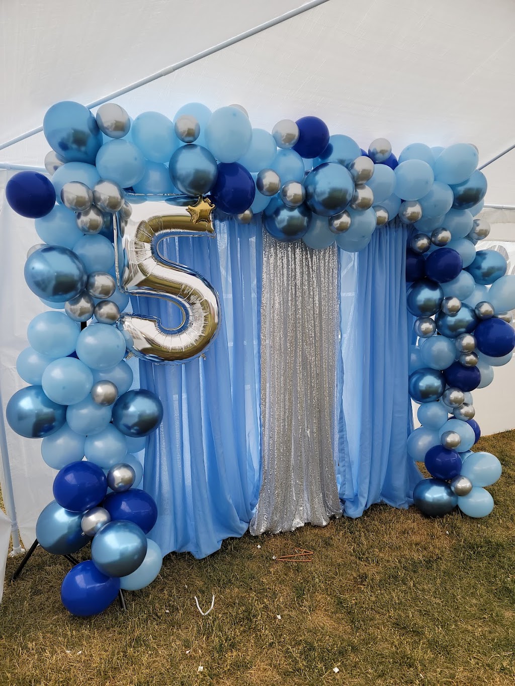 Soft & Posh Balloons & Backdrop Decors | 6359 Cartmell Rd SW, Edmonton, AB T6W 4A3, Canada | Phone: (780) 807-4192