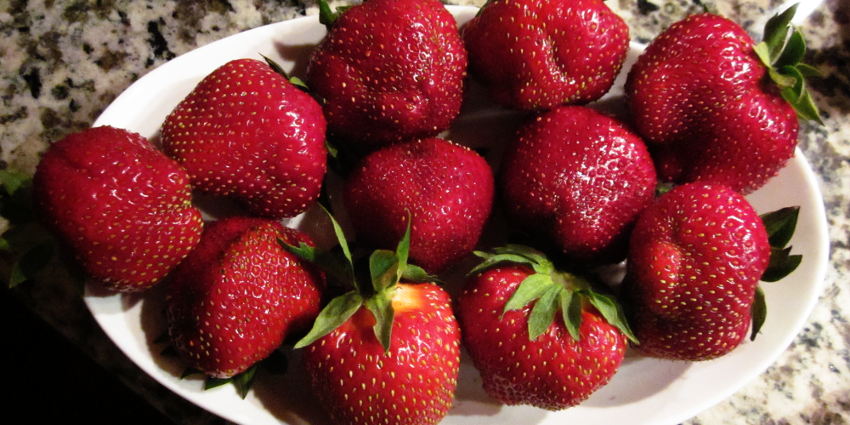 Richmond Nursery Strawberry Farm | 5740 Old Richmond Rd, Richmond, ON K0A 2Z0, Canada | Phone: (613) 838-2282