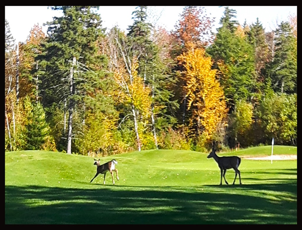 Glen Lovat Golf Club | 151 Frasers Mountain Branch Rd, New Glasgow, NS B2H 5C4, Canada | Phone: (902) 753-4653