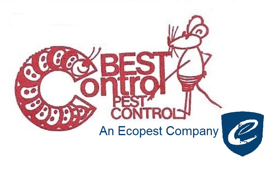 Best Control Pest Control Ltd | 2821 3 Ave NE, Calgary, AB T2P 1B5, Canada | Phone: (403) 273-3025