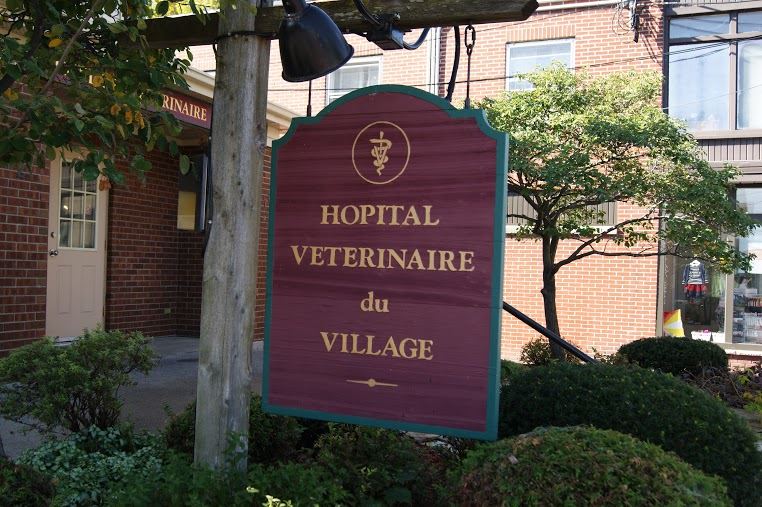 Hôpital Vétérinaire du Village | 276-A Chemin du Bord-du-Lac, Pointe-Claire, QC H9S 4K9, Canada | Phone: (514) 694-1927