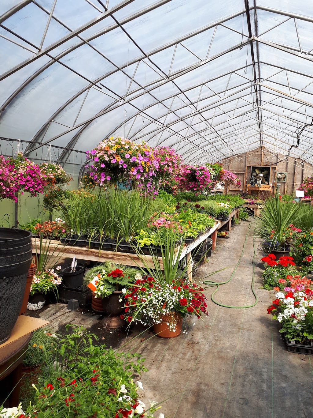 Granola Garden Ctr | 3304 Morin Dr, Gunn, AB T0E 1A0, Canada | Phone: (587) 859-1633