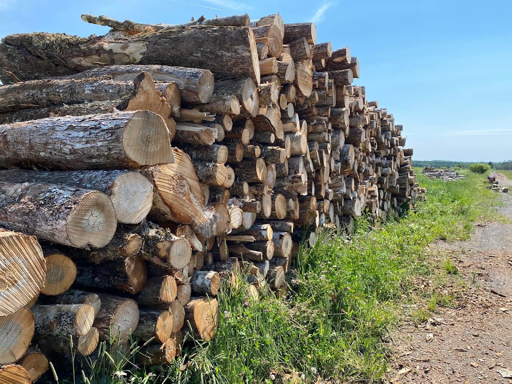 Moncton, Boyle Farm- Firewood Sales | 3528 NB-126 Unit 2, Lutes Mountain, NB E1G 2Y6, Canada | Phone: (506) 875-5450