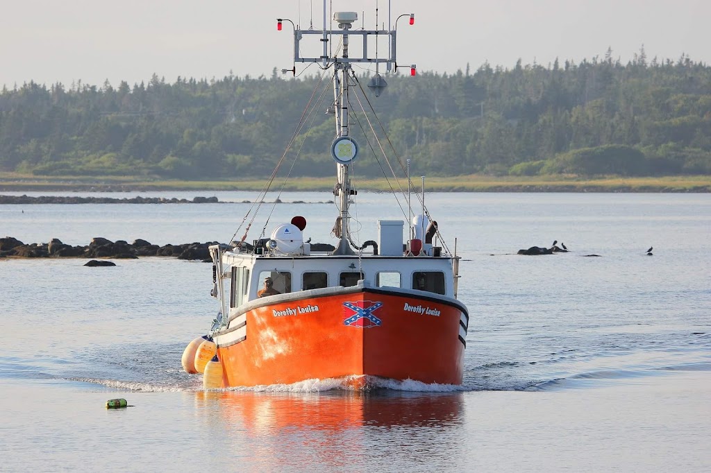 Surf Seafoods (2009) Limited | 16 Commercial St, Port La Tour, NS B0W 2T0, Canada | Phone: (902) 768-2535