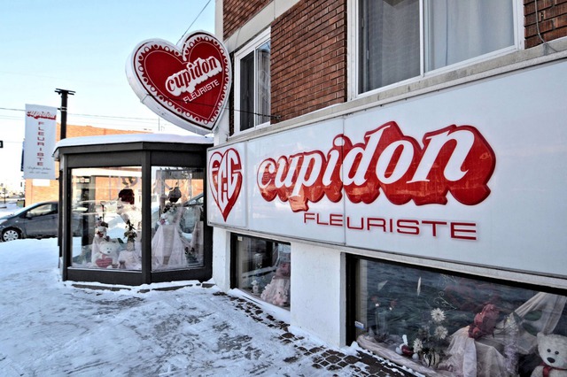 Cupidon Fleuriste Florist | 2288 Rue Fleury E, Montréal, QC H2B 1K6, Canada | Phone: (514) 382-6111