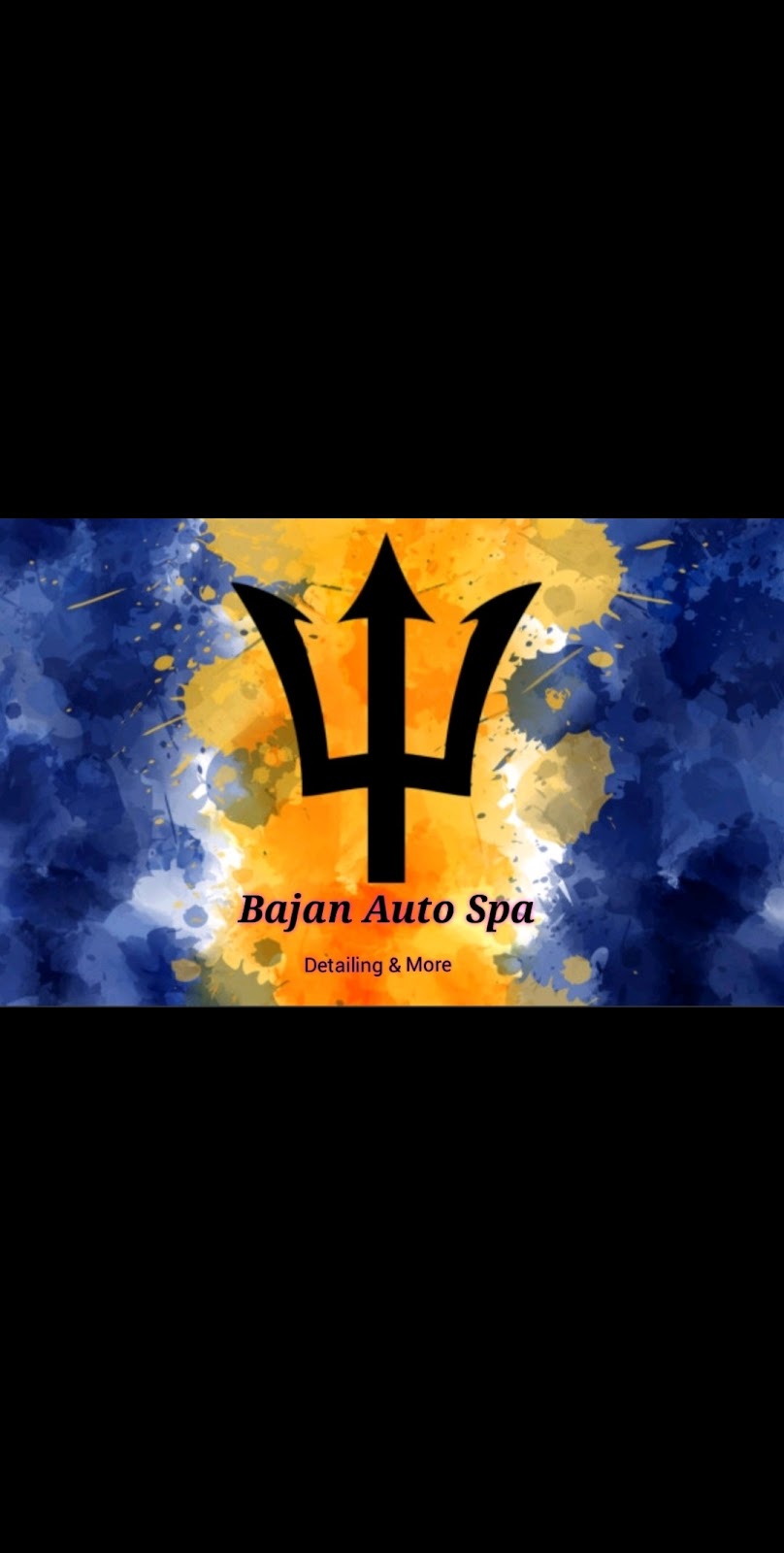 Bajan Auto Spa | Norfolk County Hwy 24, Simcoe, ON N3Y 2H9, Canada | Phone: (519) 209-7239