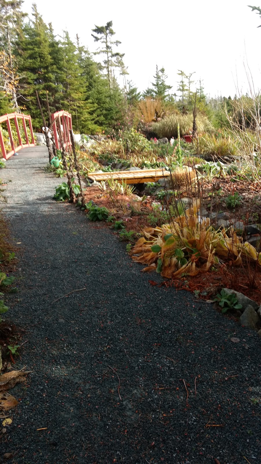 Harbour Breezes Daylilies | 10099 Nova Scotia Trunk 7, Head of Jeddore, NS B0J 1P0, Canada | Phone: (902) 889-3179