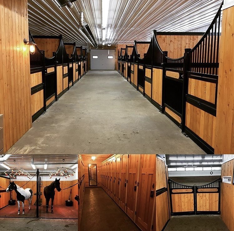 Solaris Equestrian | 26113 Township Rd 514, Spruce Grove, AB T7Y 1B5, Canada | Phone: (780) 544-5867