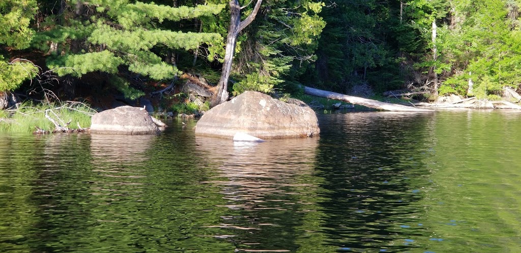 Pourvoirie Le Triolet | 650 Chemin du Poisson Blanc, Notre-Dame-du-Laus, QC J0X 2M0, Canada | Phone: (819) 767-2519