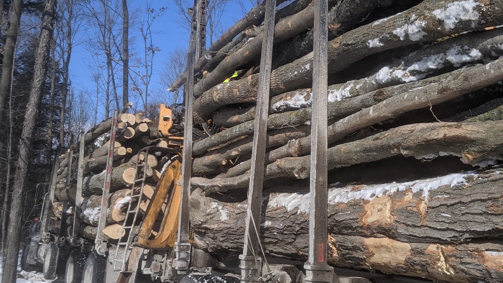 Maple Heights - Fire Wood | 3358 5th Line, Innisfil, ON L9S 4P6, Canada | Phone: (705) 220-1632