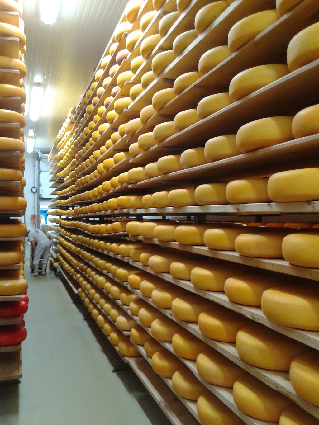 Mountainoak Cheese Ltd | 3165 Huron Road, New Hamburg, ON N3A 3C3, Canada | Phone: (519) 662-4967