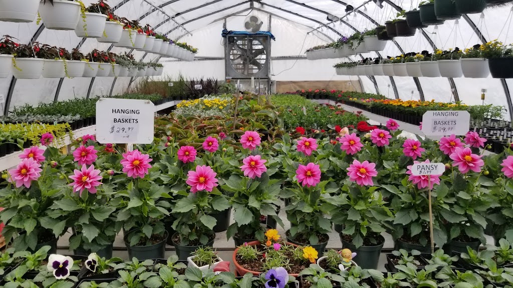 A VeryNice Greenhouse | #2 56021, Range Rd 261, AB T8R 0V9, Canada | Phone: (780) 233-0166