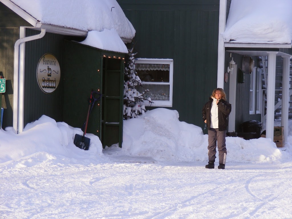 Pourvoirie Le Goeland | 2050 Chem. du Lac Édouard, Lac-Édouard, QC G0X 3N0, Canada | Phone: (819) 653-2006