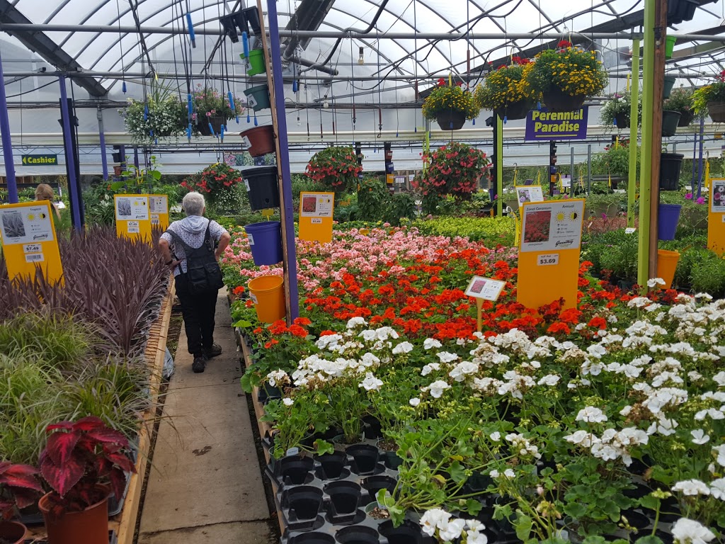 Belgian Nursery | 2615 Victoria St N, Breslau, ON N0B 1M0, Canada | Phone: (519) 648-2608