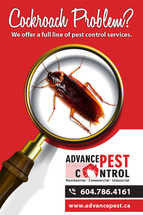 Richmond Advance Pest Control | 10540 Finlayson Dr, Richmond, BC V6X 1W6, Canada | Phone: (604) 786-4161