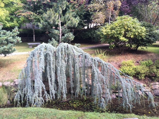 Japanese Gardens | Mayne Island, BC V0N 2J2, Canada