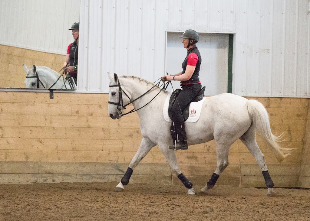 Eckwood Equestrian | 32403 Range Rd 21, Olds, AB T4H 1P3, Canada | Phone: (403) 400-6435