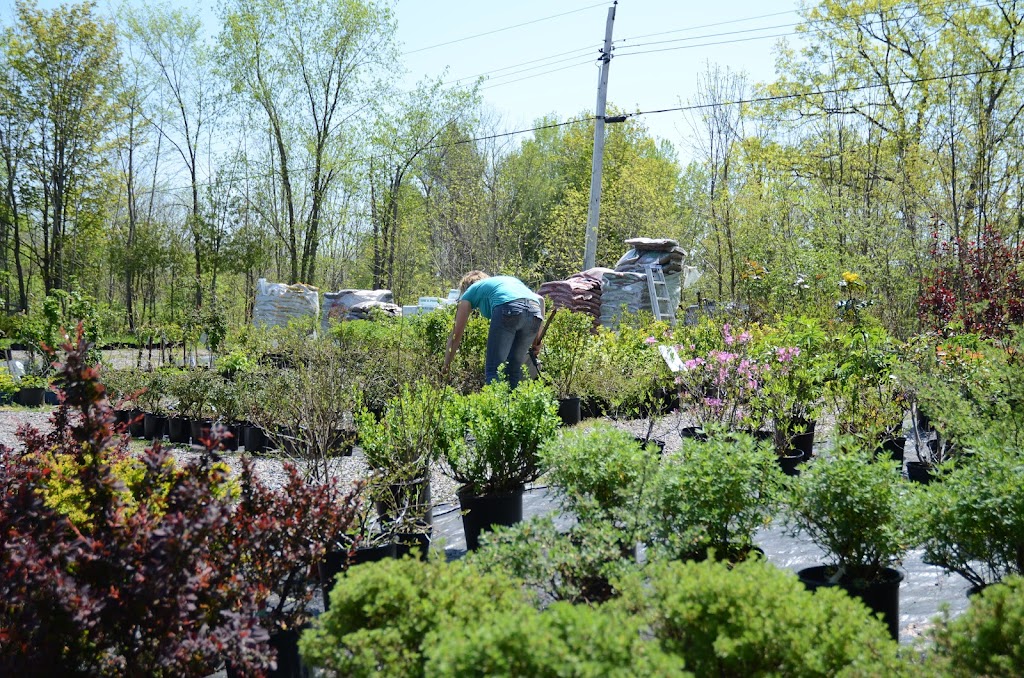 BRACKENRIG NURSERY AND MAINTENANCE | 1015 Brackenrig Centre Rd, Port Carling, ON P0B 1J0, Canada | Phone: (705) 765-6261