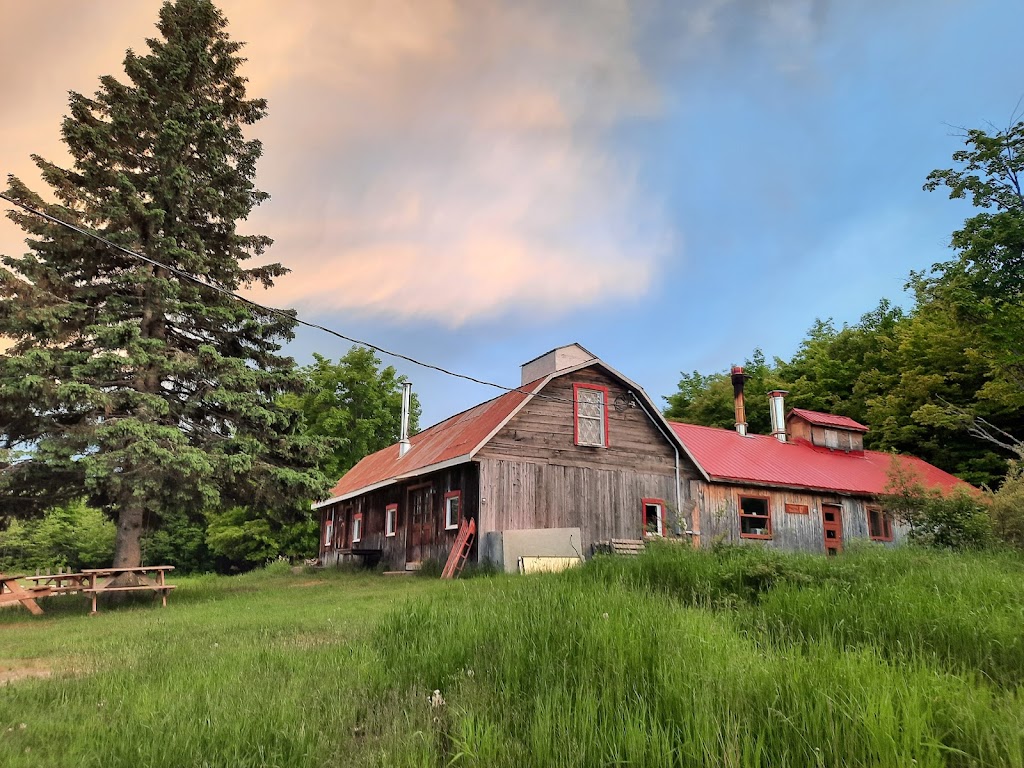 Forêt gourmande | 1350 Rue Principale, Petite-Rivière-Saint-François, QC G0A 2L0, Canada | Phone: (418) 617-9715