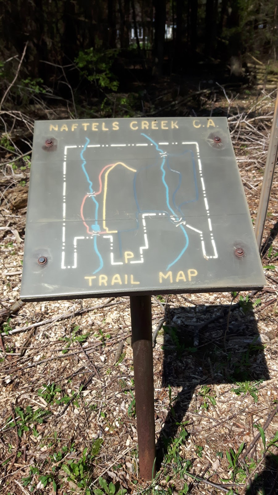 Naftels Creek Conservation Area | 79154 Bluewater Hwy, Goderich, ON N7A 3X8, Canada