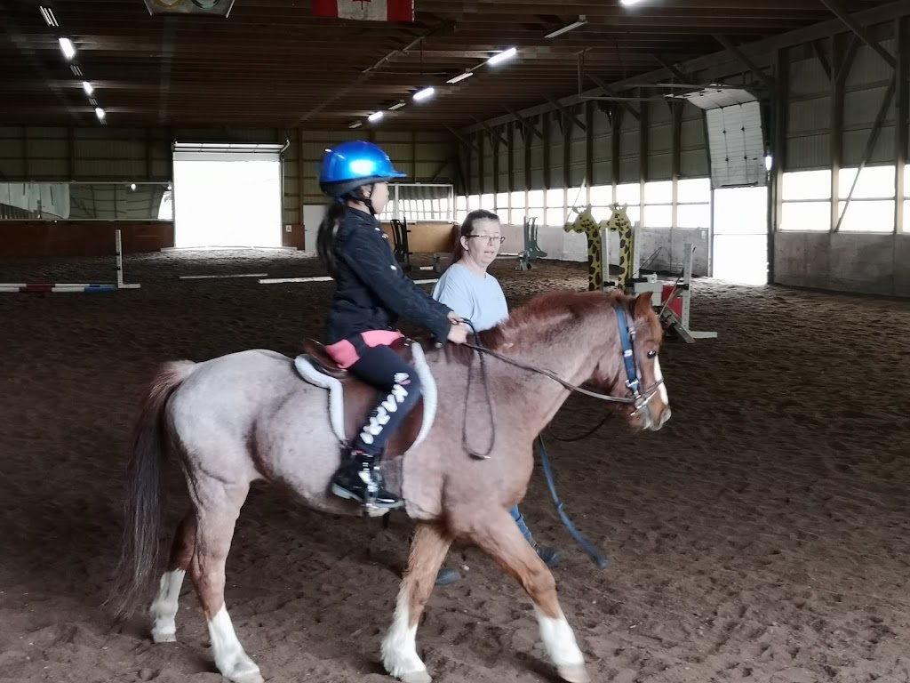 Pause Awhile Equestrian Centre | 13243 McCowan Rd, Whitchurch-Stouffville, ON L4A 7X5, Canada | Phone: (905) 640-7232