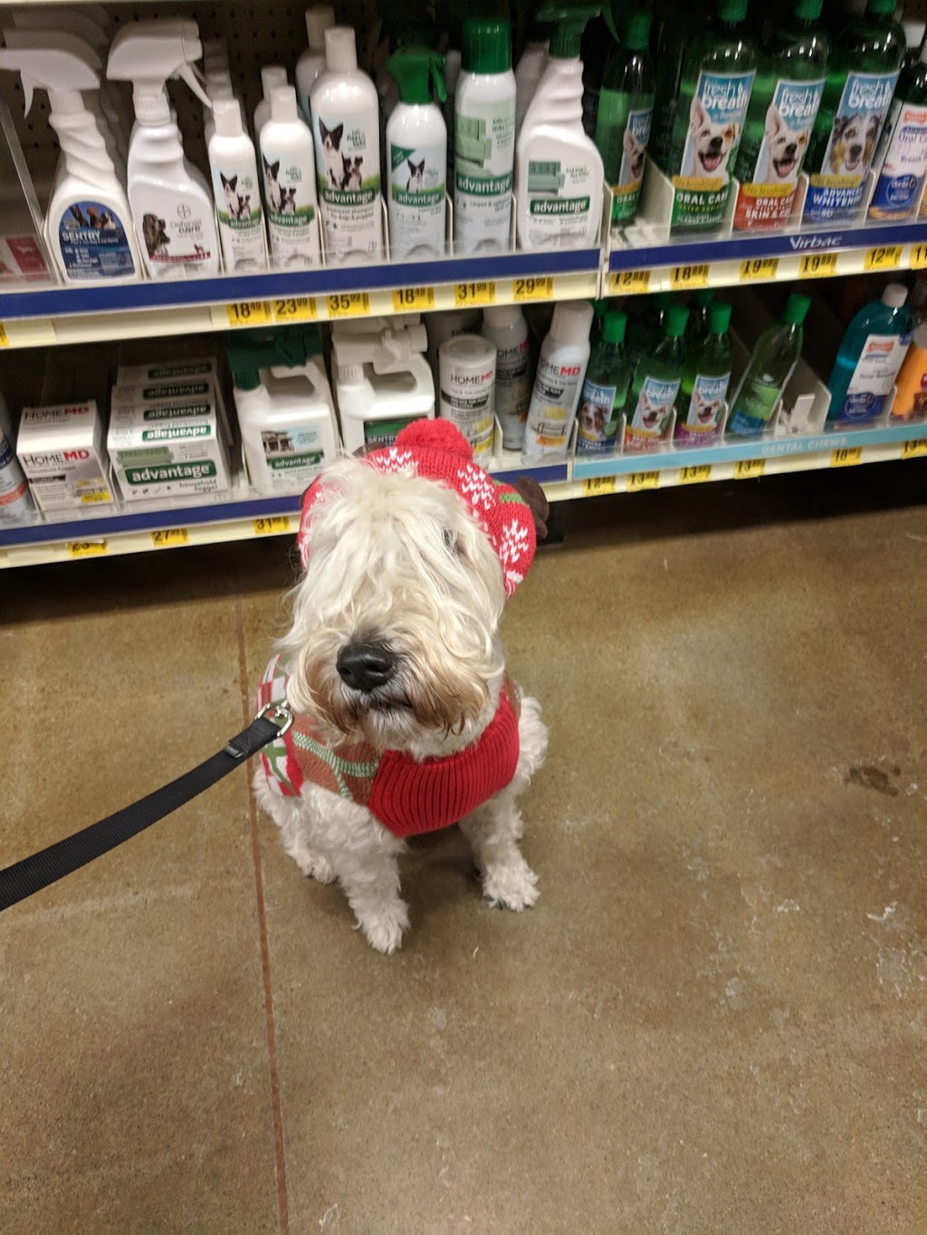 PetSmart | 1581 Niagara Falls Blvd Suite 100, Amherst, NY 14228, USA | Phone: (716) 249-3197