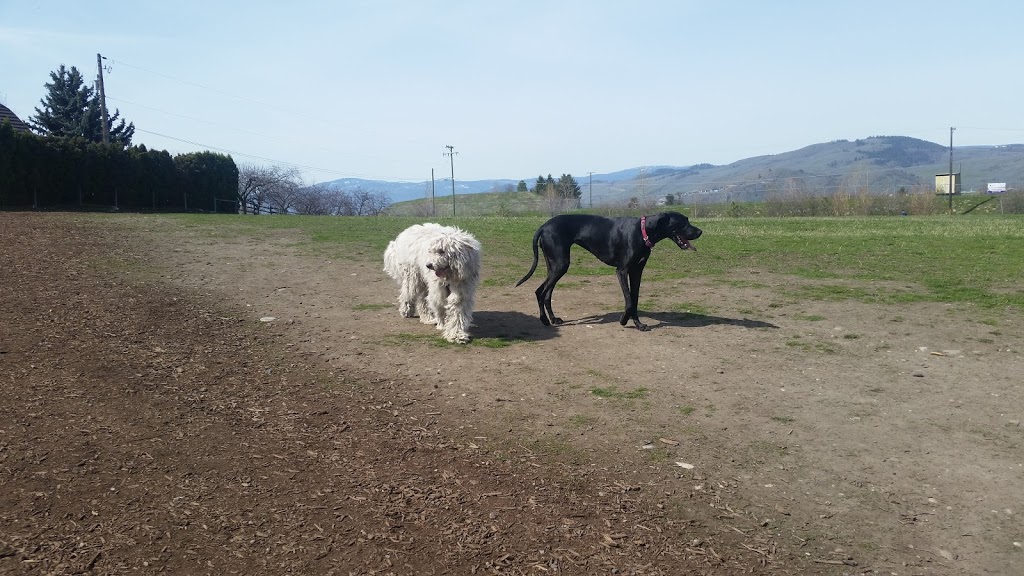 Mutrie Dog Park | 3985 Mutrie Rd, Vernon, BC V1T 9C8, Canada