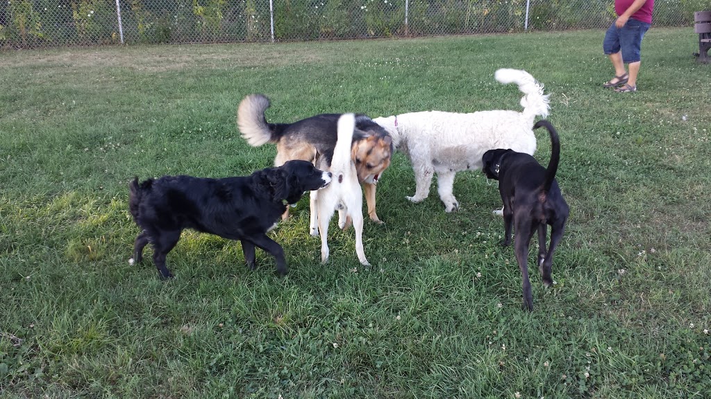 Parc canin Dog Park | 550 Notre Dame St, Russell, ON K4R 1E5, Canada | Phone: (613) 443-3066